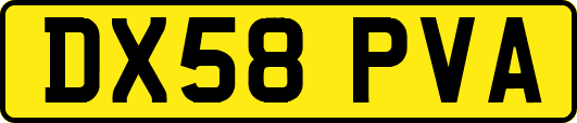 DX58PVA