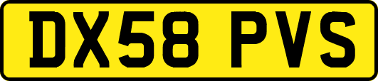 DX58PVS
