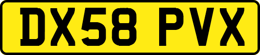 DX58PVX