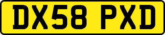 DX58PXD