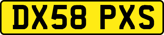 DX58PXS