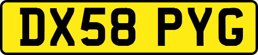 DX58PYG