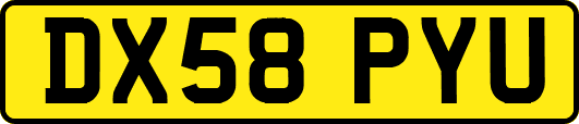 DX58PYU