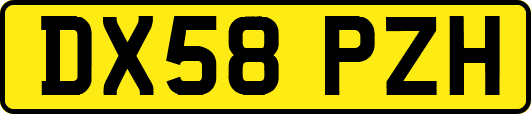 DX58PZH