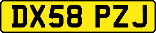 DX58PZJ