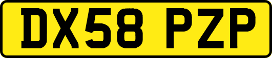 DX58PZP