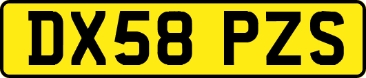DX58PZS