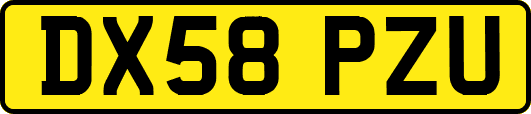 DX58PZU