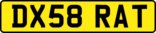 DX58RAT