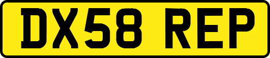 DX58REP