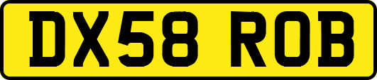 DX58ROB