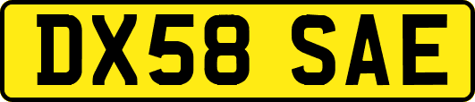 DX58SAE