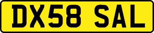 DX58SAL