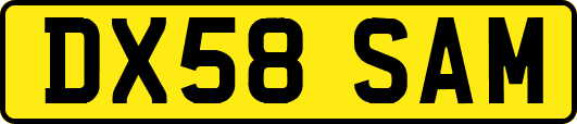 DX58SAM