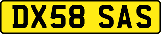 DX58SAS