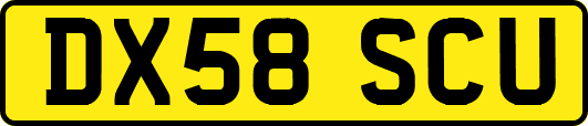 DX58SCU