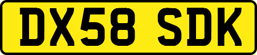 DX58SDK