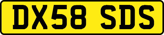 DX58SDS