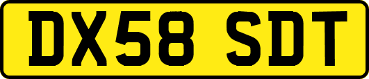 DX58SDT