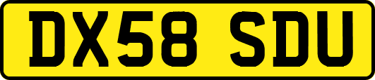 DX58SDU