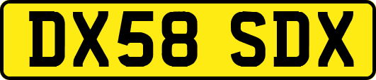 DX58SDX