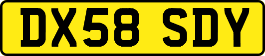 DX58SDY