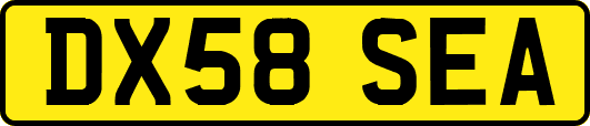 DX58SEA