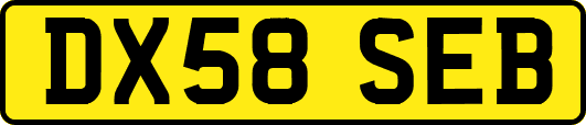 DX58SEB