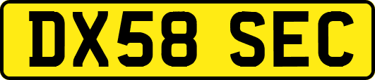 DX58SEC