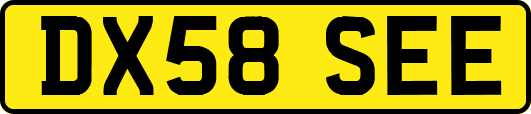 DX58SEE