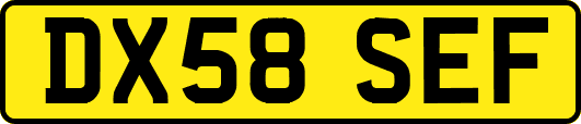 DX58SEF