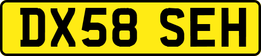 DX58SEH
