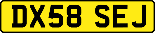 DX58SEJ