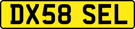 DX58SEL