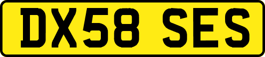 DX58SES