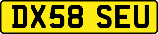 DX58SEU