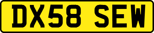DX58SEW