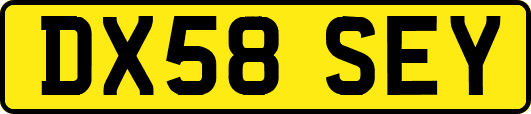 DX58SEY