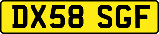 DX58SGF