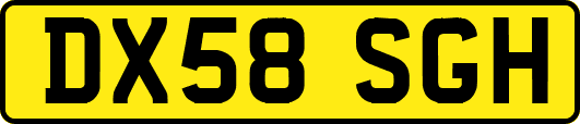 DX58SGH