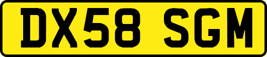 DX58SGM