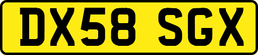 DX58SGX