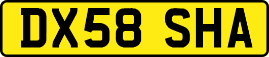 DX58SHA