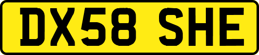 DX58SHE
