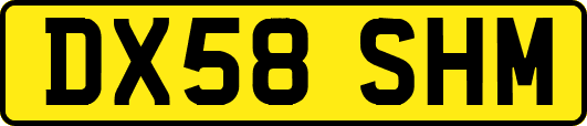 DX58SHM