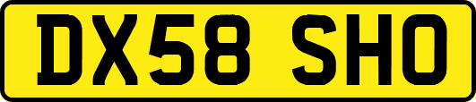 DX58SHO
