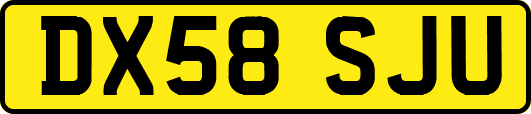 DX58SJU