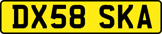 DX58SKA