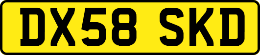 DX58SKD