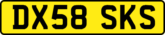 DX58SKS